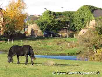 Fight to protect Crayford Marshes from being built on