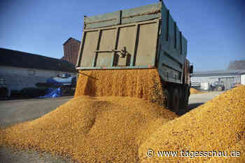 Ukraine-Krieg: Unklarheit über Verlängerung des Getreideabkommens