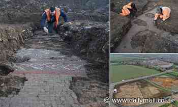Roman villa with stunning mosaic is found as workers prepare site for new Aldi supermarket