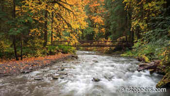 How to Improve the Color of Foliage in Landscape Photos