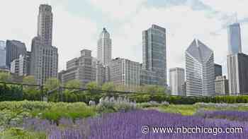 Chicago Forecast: Frigid Temperatures, Windy Conditions Alongside Cloudy Skies