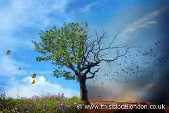 Climatic change- Aisha Zaffar- The Langley Academy