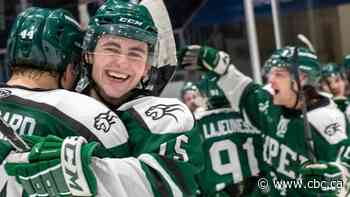 UPEI Panthers upset top-seeded Calgary Dinos in U Sports men's hockey quarterfinals