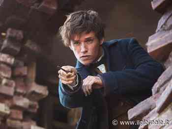 Animali Fantastici, dove ha sbagliato la saga spinoff di Harry Potter?