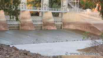 Hitze und Hochwasser in Australien: Millionen tote Fische entdeckt