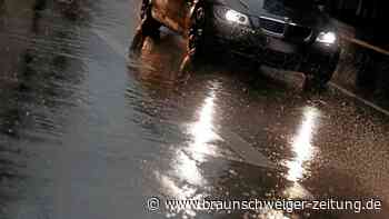 Schwerer Raub: Hannover 96-Fans überfallen vier Peiner Autofahrer