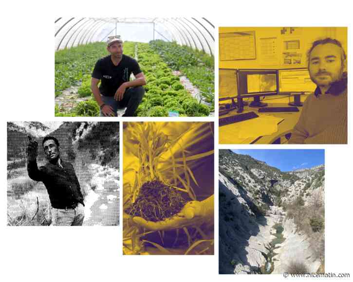 Maire, agriculteur, météorologue... Ils racontent leur quotidien face à la sécheresse