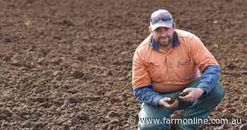 Supplies of processed potatoes expected to be thin in coming weeks