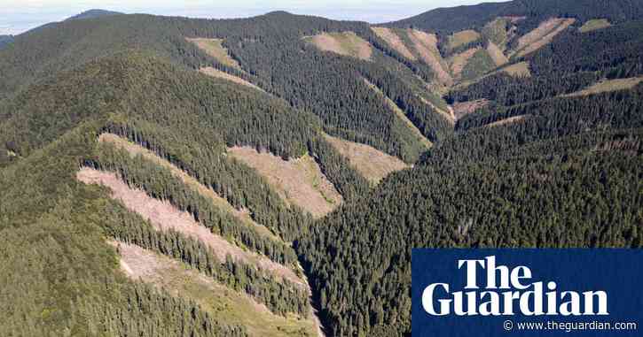 ‘Alarming’ rate of mountain forest loss a threat to alpine wildlife