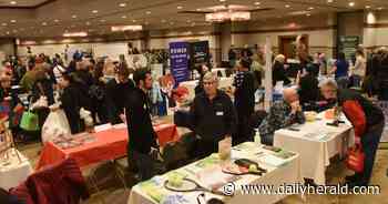 Entertainment helps draw a crowd to chamber of commerce expo