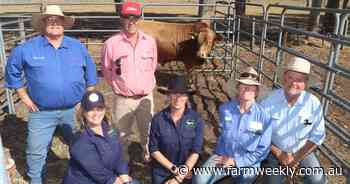 Summit sale a sizzler