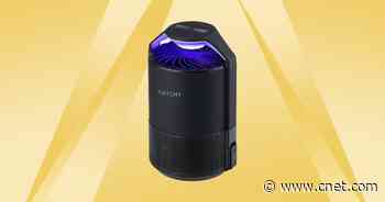 Get Rid of Pests With Up to 37% Off Katchy Traps     - CNET