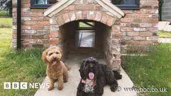 Car-charging and dog hotels: Seven perks to lure you to the office