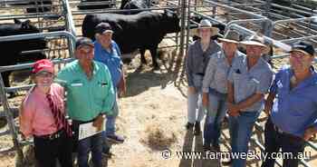 Kapari the king of Gingin sale