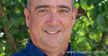 Sexing technology could save beef herds