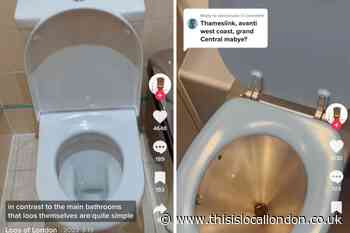 Viral TikToker reviews London’s weird and wonderful toilets