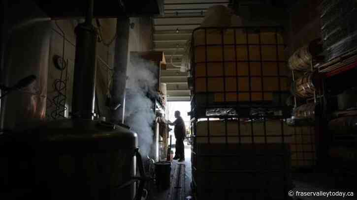 How did these companies survive the pitfalls of the pandemic pivot?