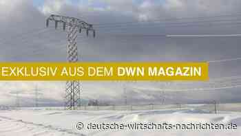 Unser neues Magazin ist da: Wie sich die Preise für Strom, Benzin, Öl und Gas entwickeln