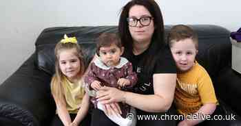 Mum's horror as mice sit just inches from sleeping baby in Byker home