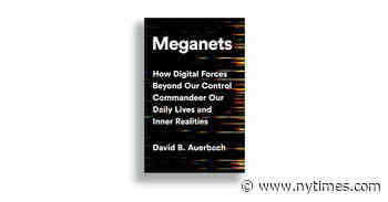 Book Review: ‘Meganets,’ by David B. Auerbach