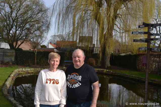 Nele (46) en Raymond (76) druk in de weer om toch nog oplossing te vinden voor revalidatiezwemmers: “We blijven in de kou staan”