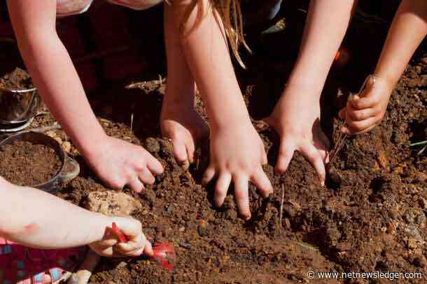 Two Minutes: Grow Your Own Summer Oasis: The Ultimate Guide to Planning a Bountiful Backyard Garden!