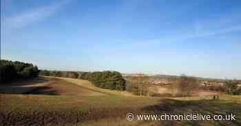 Community café set to open up at Sunderland eco-park that was once a golf course
