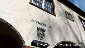 Schöffenwahl in Calw: Das macht man als Laienrichter