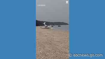 WATCH:  Small plane makes emergency landing on New York beach