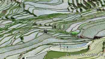 Mehr Klimaschutz in der Lebensmittelwirtschaft: Was sich dafür ändern muss