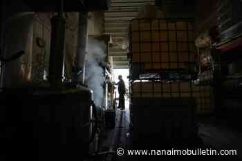 How did these companies survive the pitfalls of the pandemic pivot?