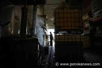 How did these companies survive the pitfalls of the pandemic pivot?