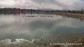 City of Arvada restoring Lake Arbor