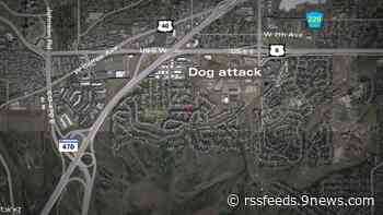 Woman pleads guilty in dog attack that killed 89-year-old woman