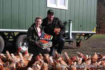 Bunte Eier sind in Schloß Holte-Stukenbrock sehr begehrt