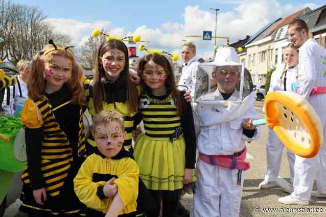 Carnaval met uitsluitend Limburgse muziek in Heilig Wammesstoet