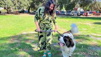 Happier staff and more profitable companies — can the four-day week fix burnout and labour shortages?