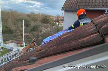 POL-PDLD: Hunderettung mit Happy End