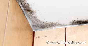 Building expert shares potential cause of mould in the home and £10 trick to prevent it