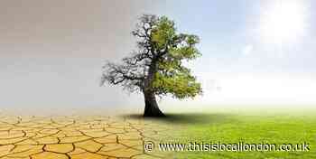 How can YOU help fight Climate Change - Joseph Kim, Tiffin School