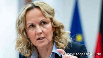 Streit um Verbrenner-Aus: Ministerin Lemke pocht auf zügige Einigung