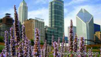 Spring Officially Begins Tomorrow Afternoon With Vernal Equinox