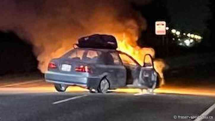 Prolific offender in custody after Abbotsford police stop stolen vehicle