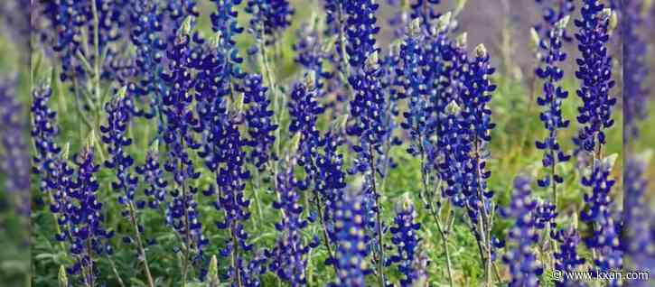 Austin to mark coldest spring equinox in 30 years on Monday