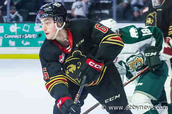 VIDEO: Vancouver Giants fall to Everett Silvertips