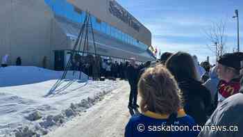 Bedard fever hits Saskatoon