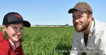 New weapon to combat weed seed banks