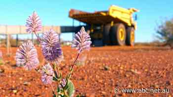 Questions raised about the independence of BHP dust report in Pilbara town