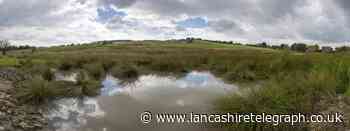 Burnley Council row over controversial 'flood risk' farm homes