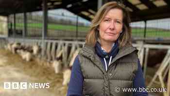 Future uncertain but could be really rosy, farmers say